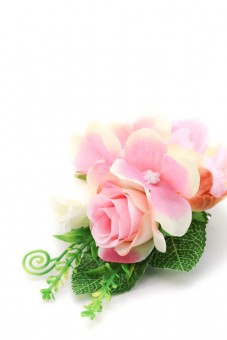 Ansteckblume Flore rosa