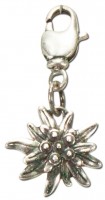 Voorvertoning: Kostuumhanger mini edelweiss antiek zilver